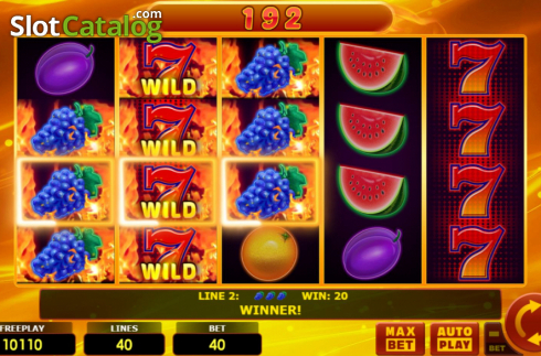 Win screen 2. Hottest Fruits 40 slot