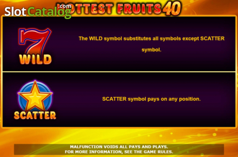 Features screen. Hottest Fruits 40 slot