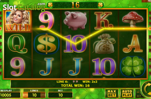 Win Screen 2. Fortune Girl (Amatic Industries) slot