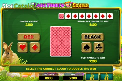 Risk/Gamble game screen. Lady Fruits 40 Easter slot
