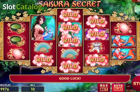 Big Win Screen. Sakura Secret slot