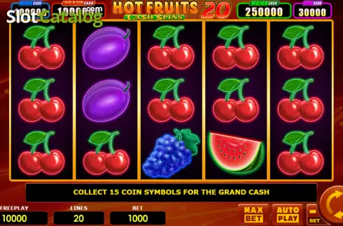 Reel screen. Hot Fruits 20 Cash Spins slot