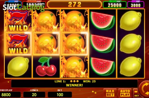 Win screen. Hot Fruits 20 Cash Spins slot