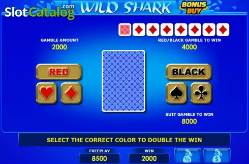 Risk game screen. Wild Shark Bonus Buy slot