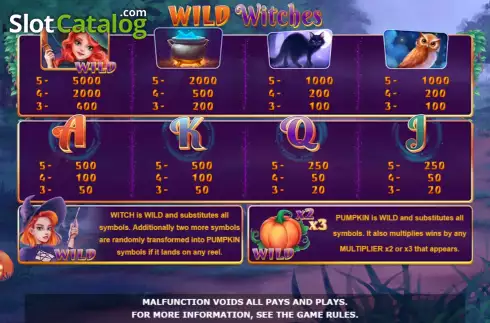 PayTable screen. Wild Witches (Amatic Industries) slot
