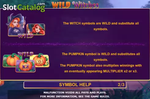 Game Features screen. Wild Witches (Amatic Industries) slot
