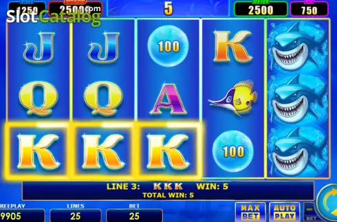 Win screen 2. Lucky Shark slot