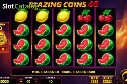 Game screen. Blazing Coins 40 slot