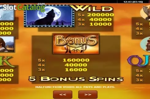 Paytable 1. Wolf Moon (Amatic) slot