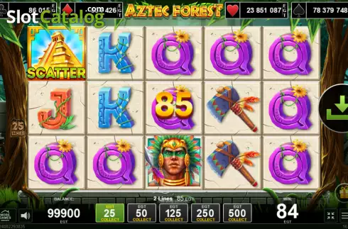 Win screen. Aztec Forest slot