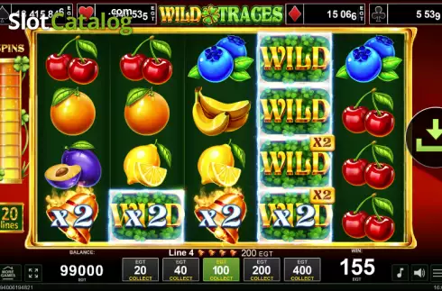 Win screen. Wild Traces slot