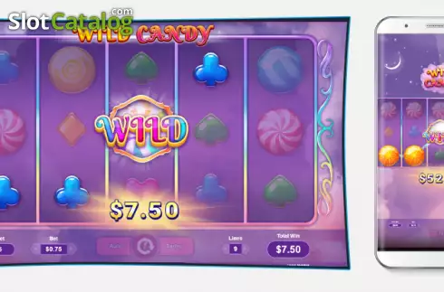 Win Screen. Wild Candy (Spinoro) slot
