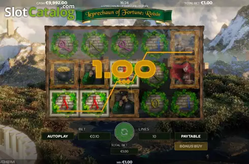 Skärmdump3. The Leprechaun of Fortune: Roisin slot