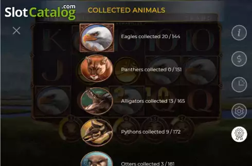 Collected Animals Screen. 15 Armadillos slot