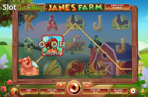 Win screen 1. Jane’s Farm slot