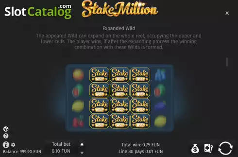 Expanded wild screen. Stake Million slot