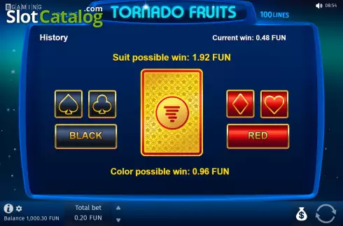 Risk Game Screen. Tornado Fruits slot