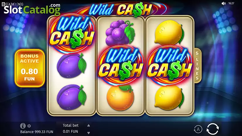Wild Cash Bonus Game Win Screen