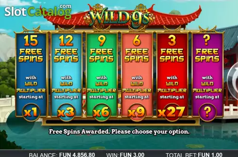 Free Spins screen. Wild 9s slot