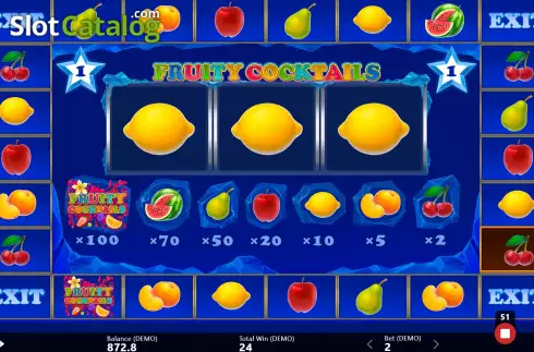 Bonus Gameplay Screen. Fruity Cocktails slot