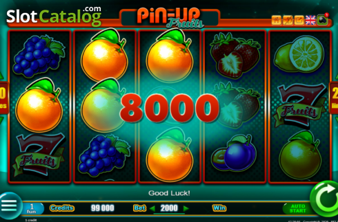 Win Screen 2. PinUp Fruits slot