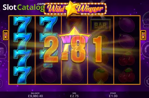 Win Screen 2. Wild Winner slot
