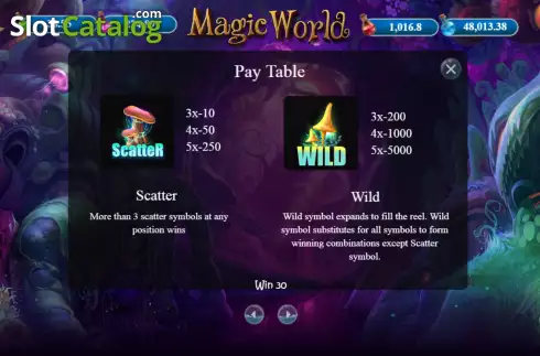 Special symbols screen. Magic World (BetConstruct) slot