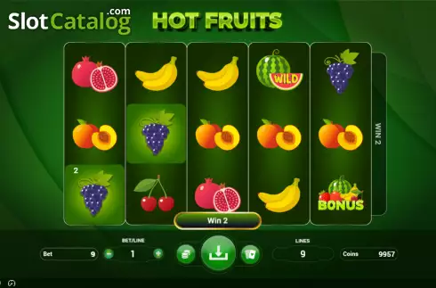 Win screen. Hot Fruits (BetConstruct) slot
