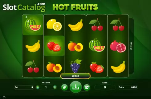 Win screen 2. Hot Fruits (BetConstruct) slot
