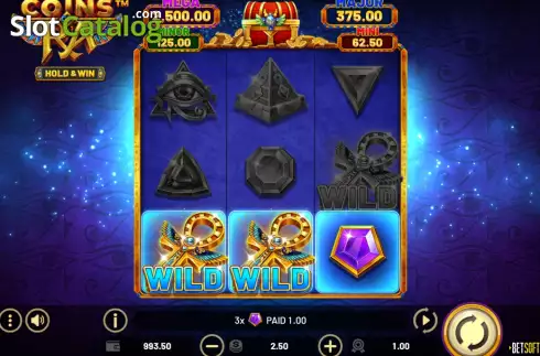 Win screen. Coins of Ra slot