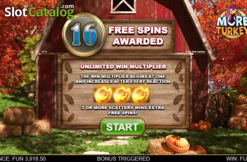 Free Spins 3. More Turkey slot
