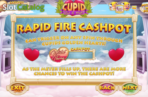 Bildschirm2. Cupid: Wild at Heart slot
