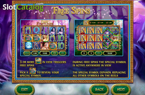 Schermo3. Fairy Fortunes slot