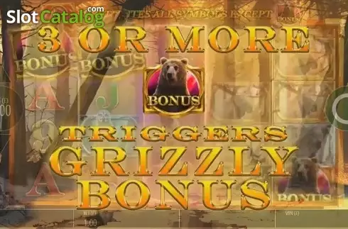 Ecran5. Grizzly Gold slot