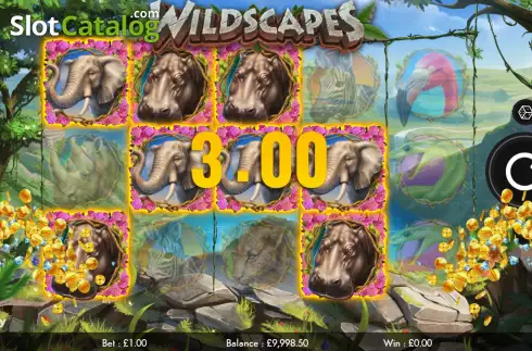 Bildschirm4. Wildscapes slot
