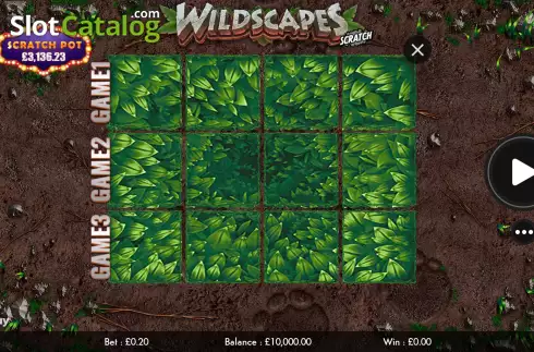 Game screen. Wildscapes Scratch slot
