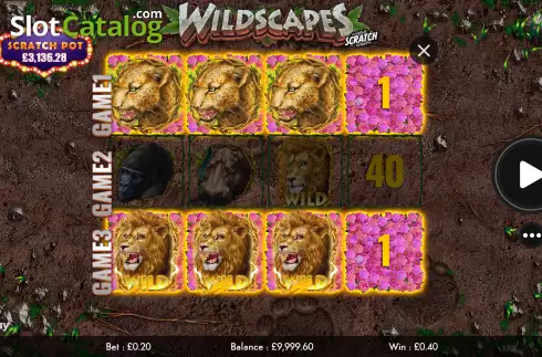 Win screen 2. Wildscapes Scratch slot