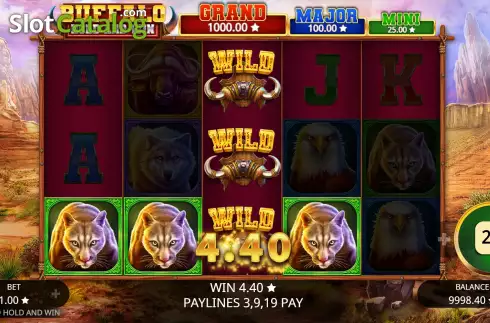 Bildschirm6. Buffalo Hold and Win slot
