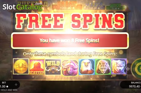 Free Spins Win Screen 2. Buffalo Hold and Win slot