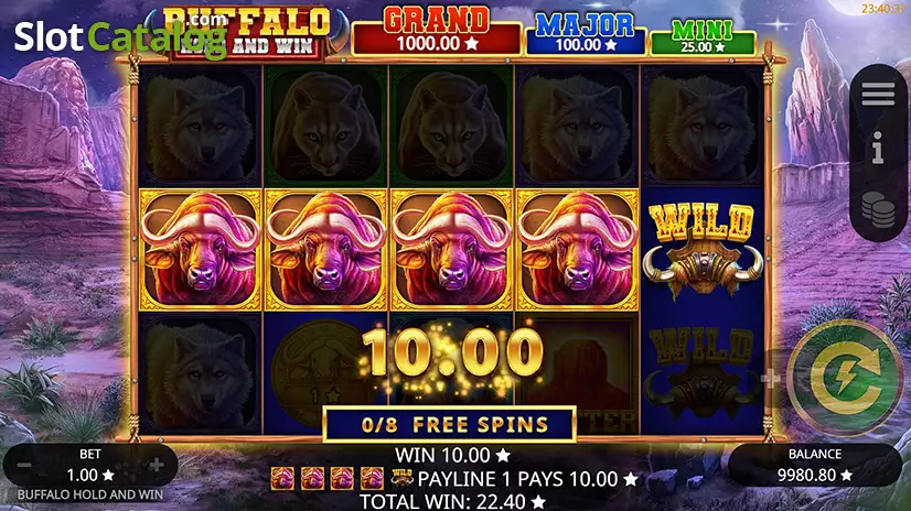 Buffalo Hold and Win Free Spins