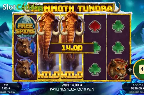 Win Screen 2. Mammoth Tundra slot