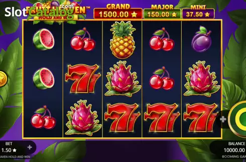 Reel screen. Fruit Heaven Hold and Win slot