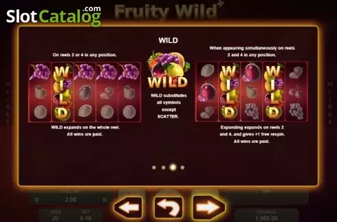 Paytable 3. Fruity Wild slot