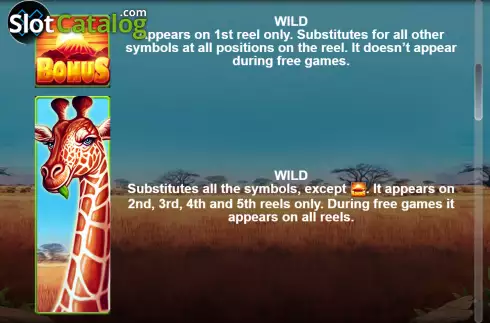 Wild screen. Giraffe Wild slot
