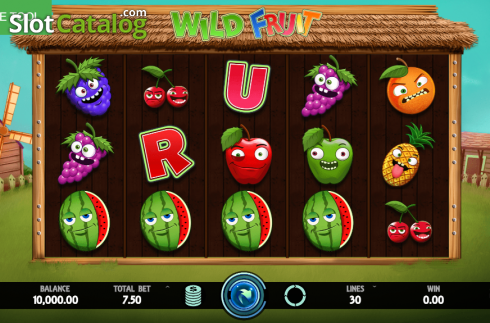 Reel Screen. Wild Fruit slot