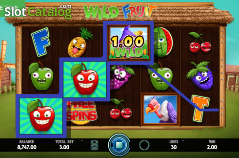 Win Screen 1. Wild Fruit slot