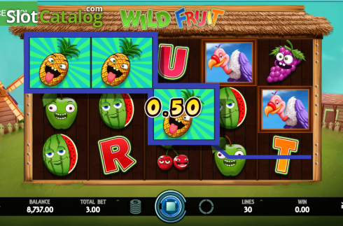 Win Screen 2. Wild Fruit slot