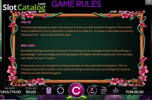 Game Rules 2. Bingo Fada da Fortuna slot