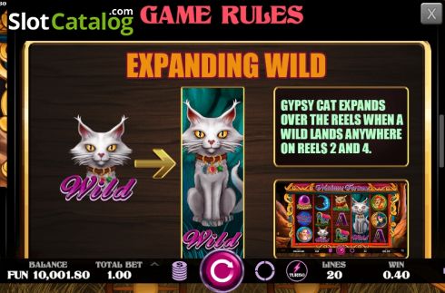 Captura de tela8. Madame Fortune (Caleta Gaming) slot