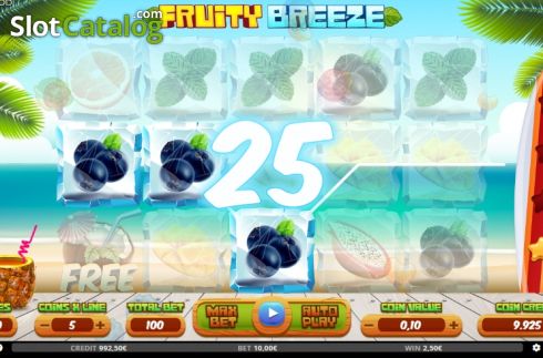 Bildschirm5. Fruity Breeze slot